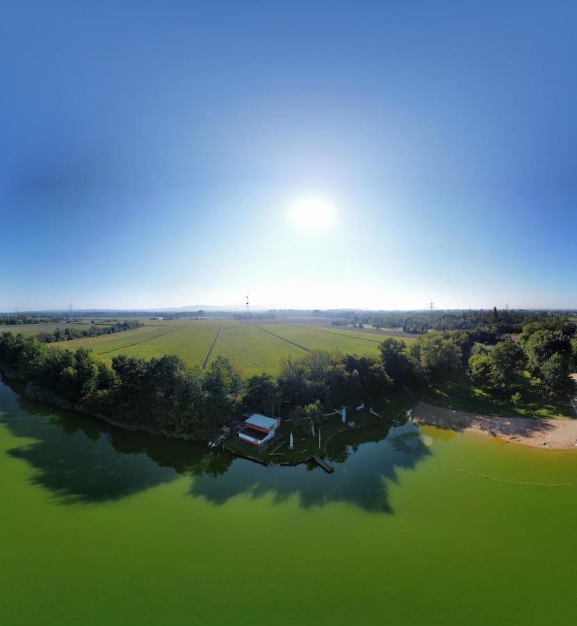 River View Near Frankfurt -- 3 Zimmer -- 4 Betten Und 1 Groesse Schlafcouch Hainburg Экстерьер фото